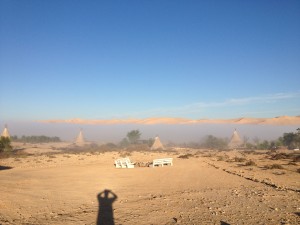 desert nature